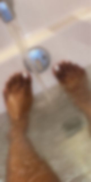 maddieeee0317 OnlyFans profile picture