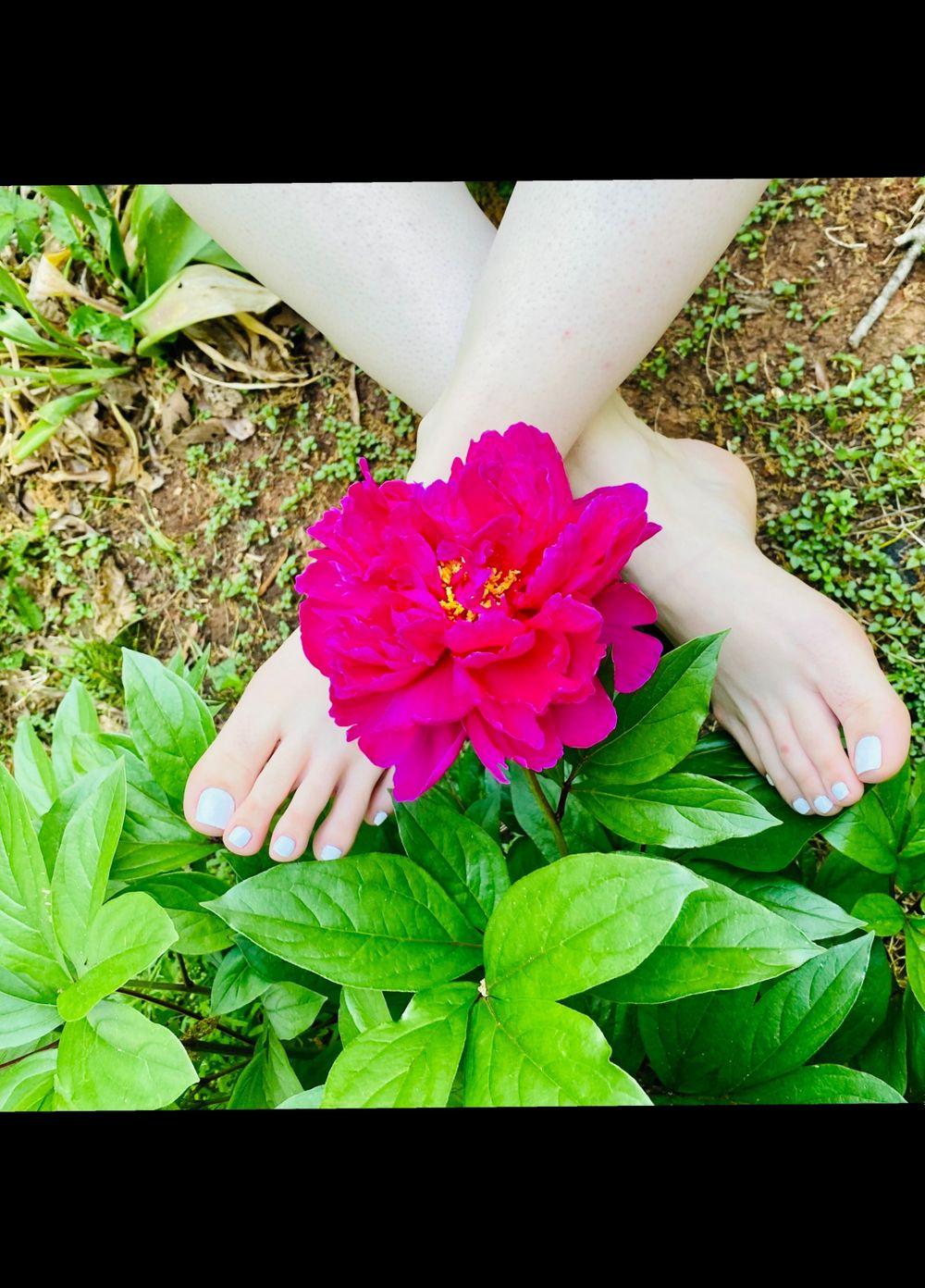 madamlongtoes OnlyFans profile picture