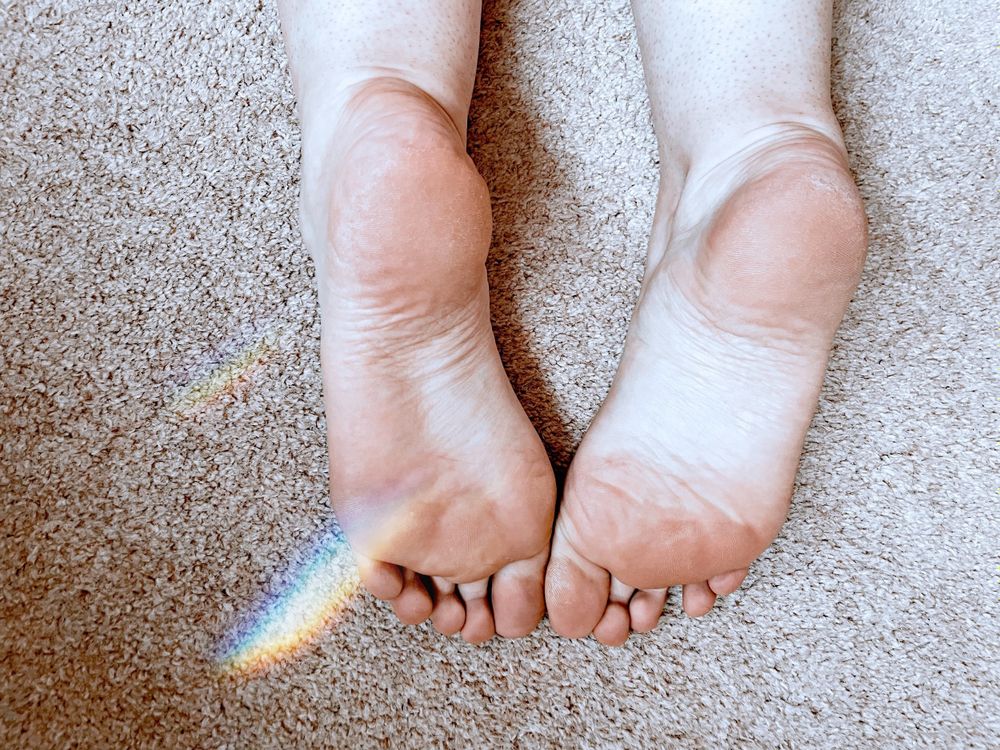 hollietaylor1998 OnlyFans profile picture