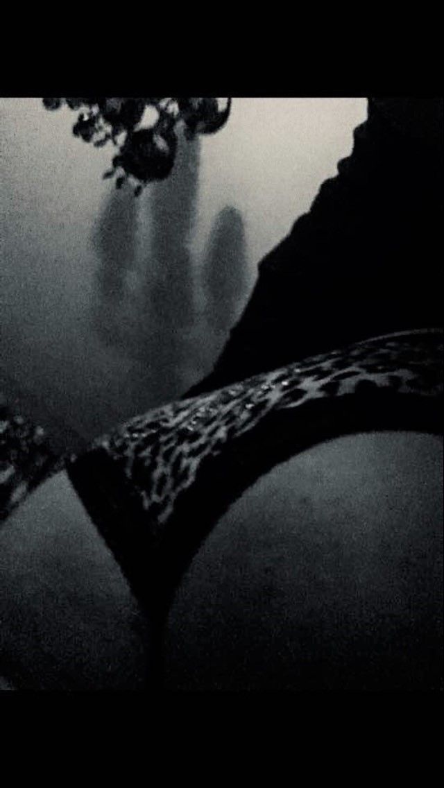 pantyfetch OnlyFans profile picture