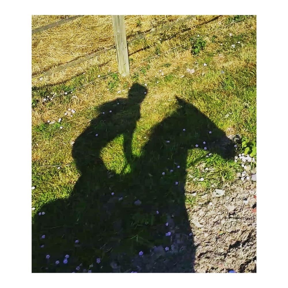 miss_visavis OnlyFans profile picture