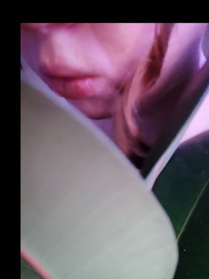 plantspantsandpolitits OnlyFans picture