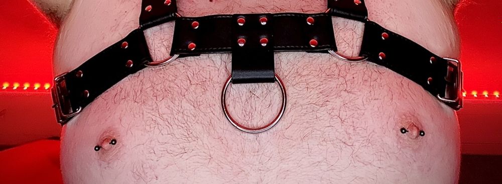 evcub342 OnlyFans profile picture