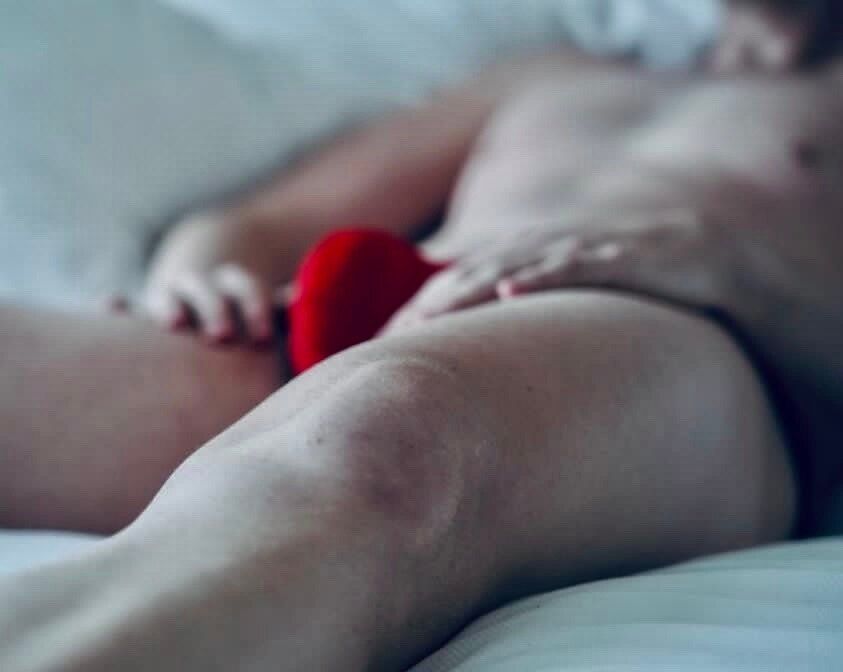 taylortrev2815 OnlyFans profile picture