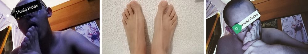 patas4ovd OnlyFans profile picture