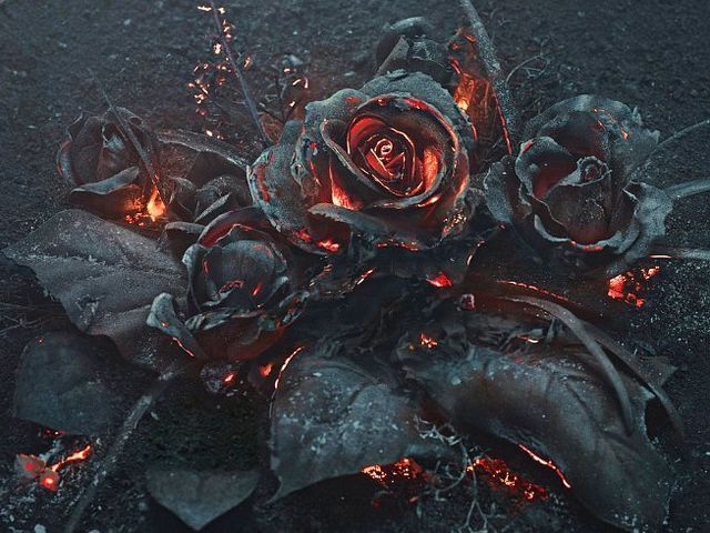 wiltedblackrose OnlyFans profile picture