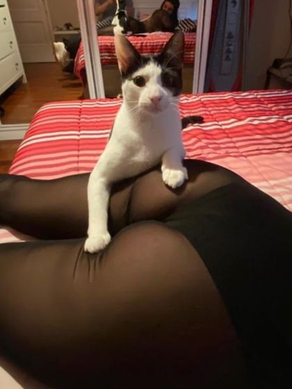hootlinemami OnlyFans picture