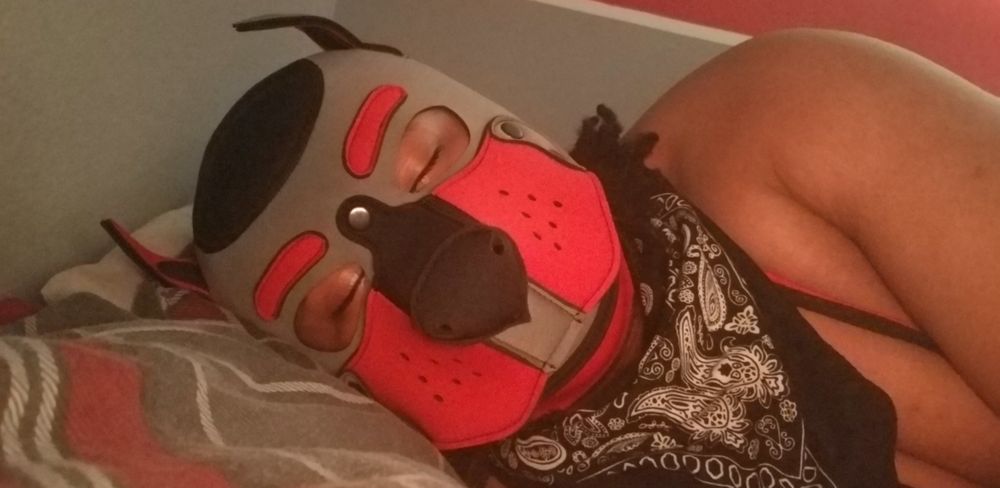 aykay_a47 OnlyFans profile picture