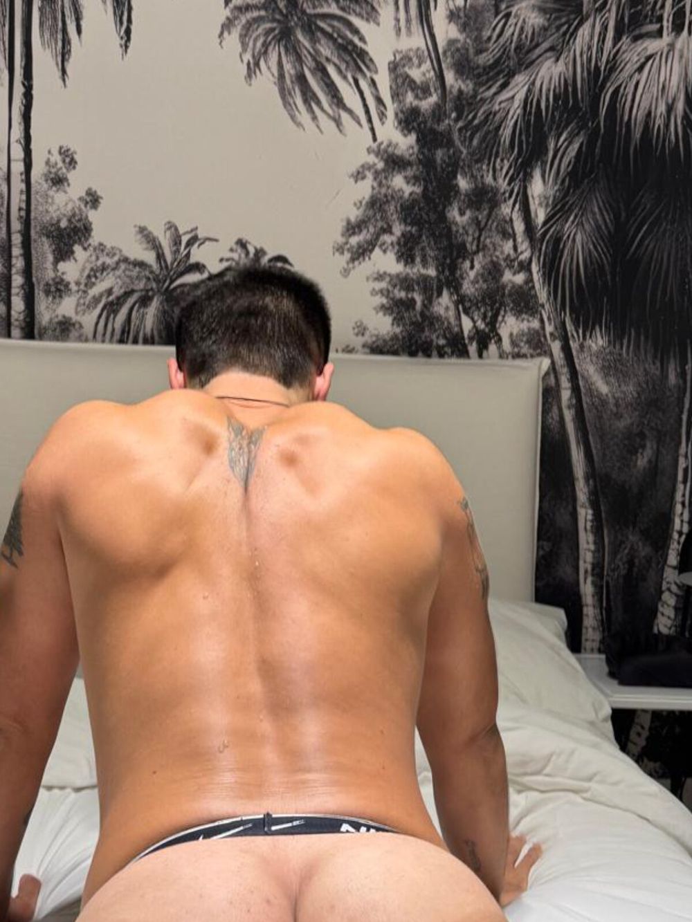 ttottox OnlyFans profile picture