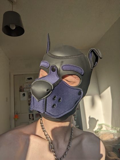 bitchboystorm OnlyFans picture