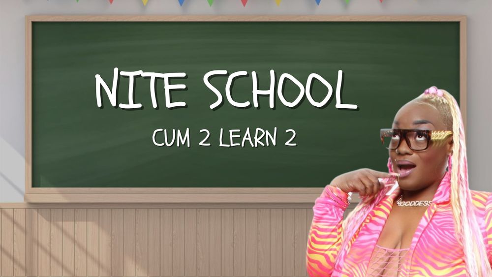 niteschool OnlyFans profile picture
