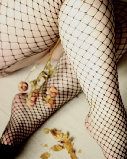 bunnyavaa OnlyFans picture