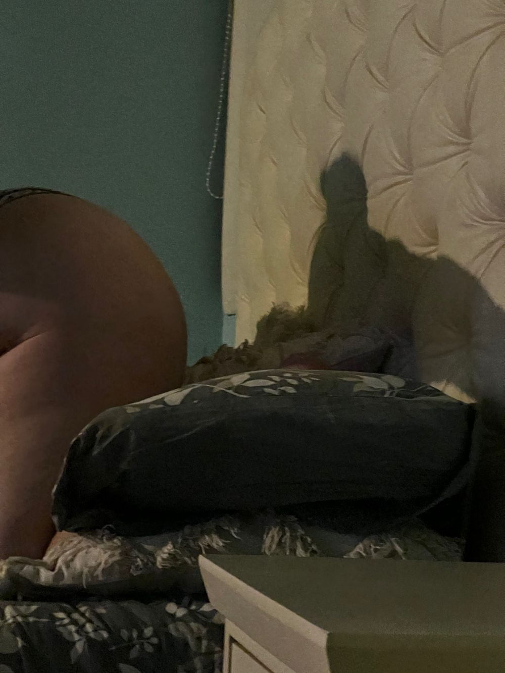 juicycurvygirl OnlyFans profile picture