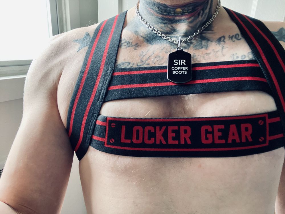 wayne666vip OnlyFans profile picture