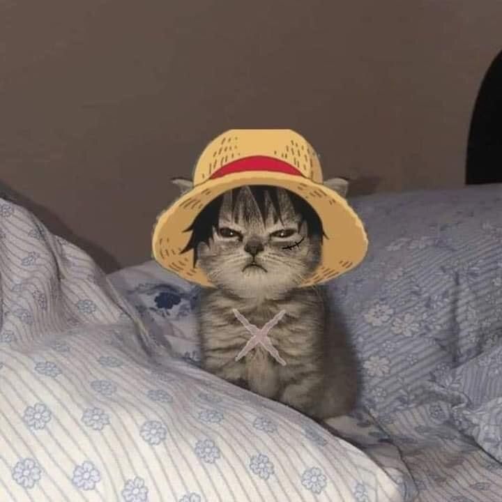clemboreyes OnlyFans profile picture