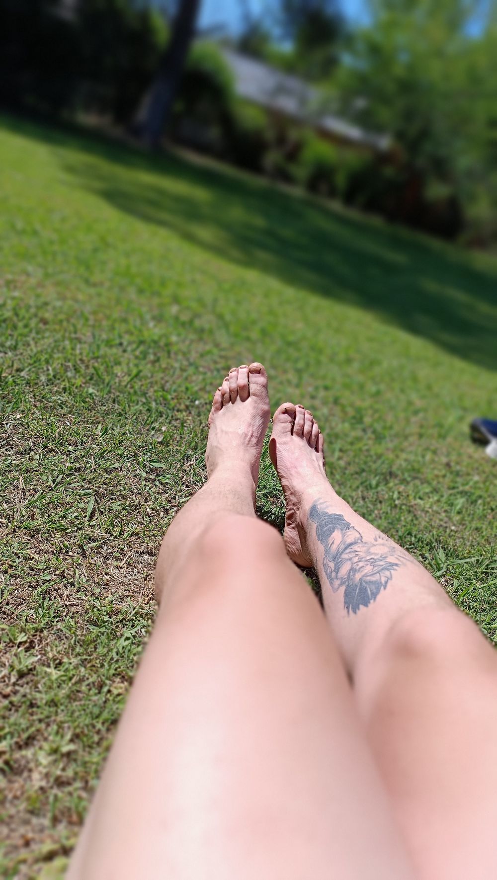 pachydlx OnlyFans profile picture