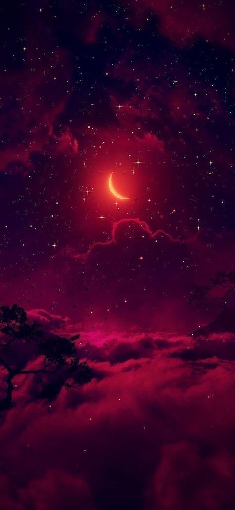 lonelystarlust OnlyFans profile picture