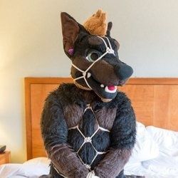 daddydober OnlyFans picture