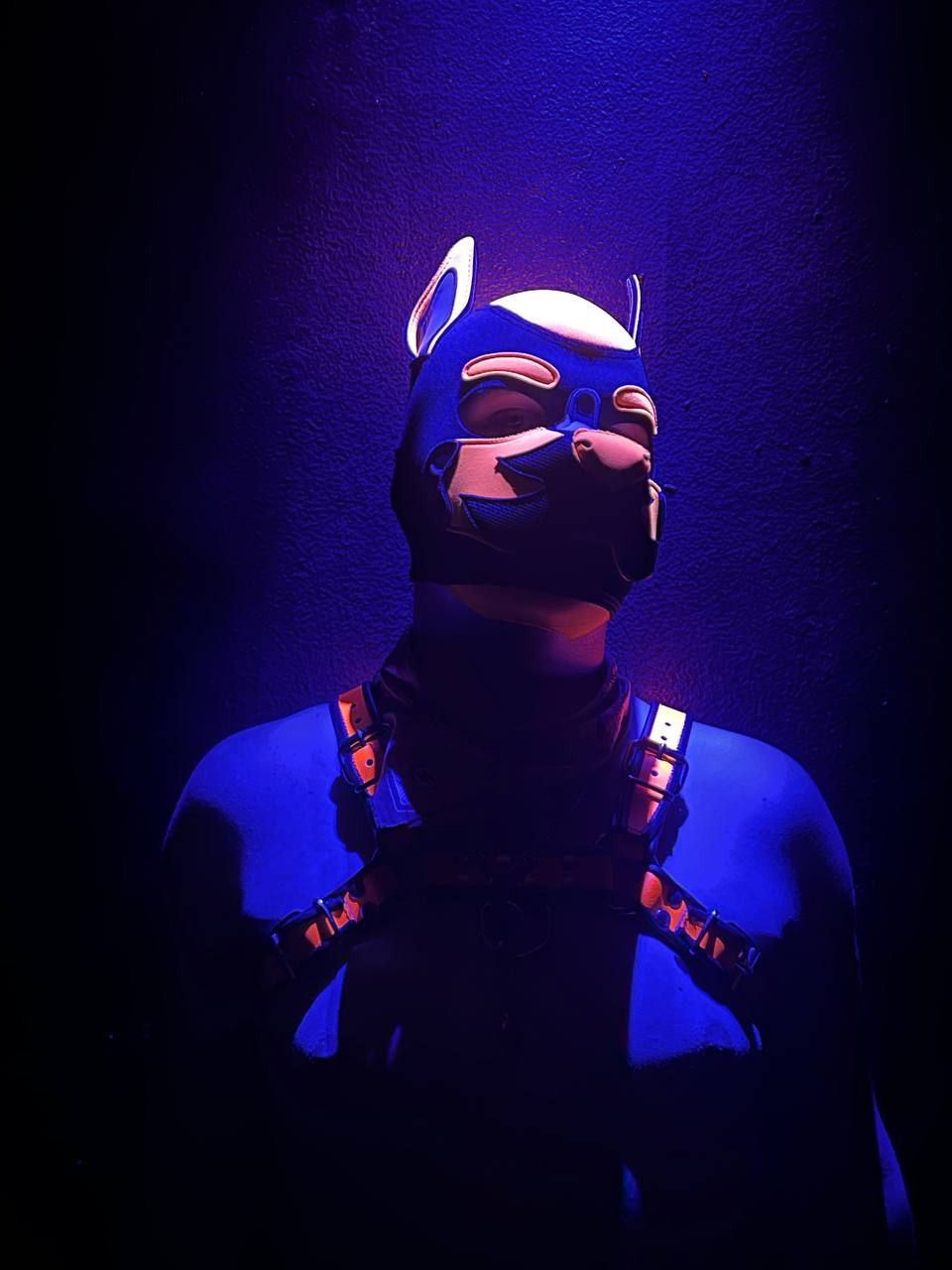 hound_quentin OnlyFans profile picture
