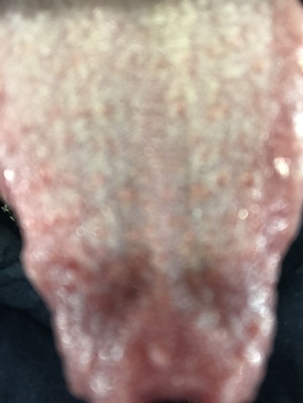 dyamondjaw OnlyFans profile picture
