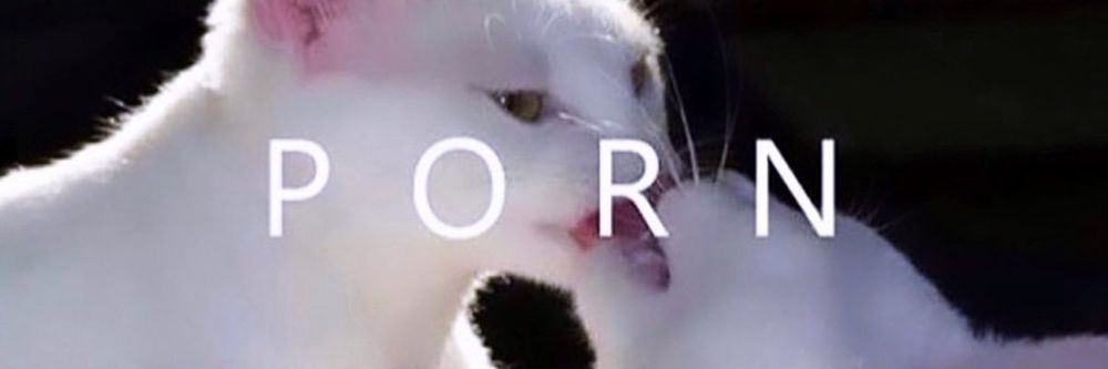kitty_puurr OnlyFans profile picture