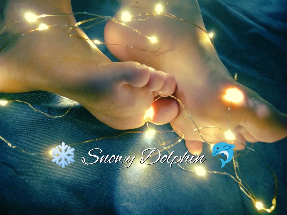 snowydolphin OnlyFans profile picture