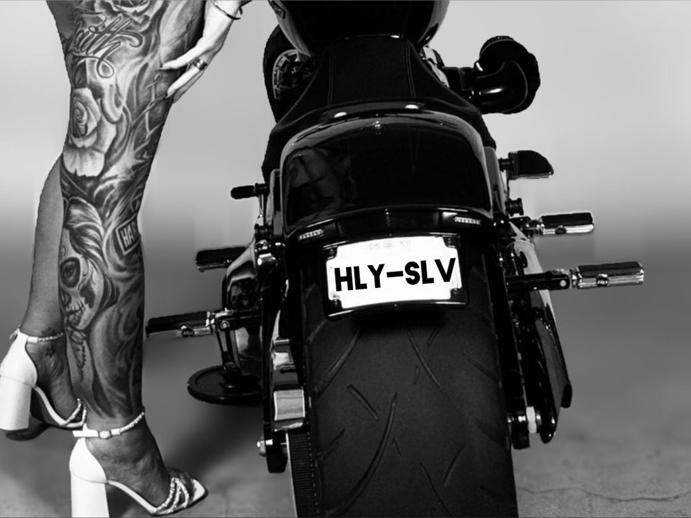motovixenn OnlyFans profile picture