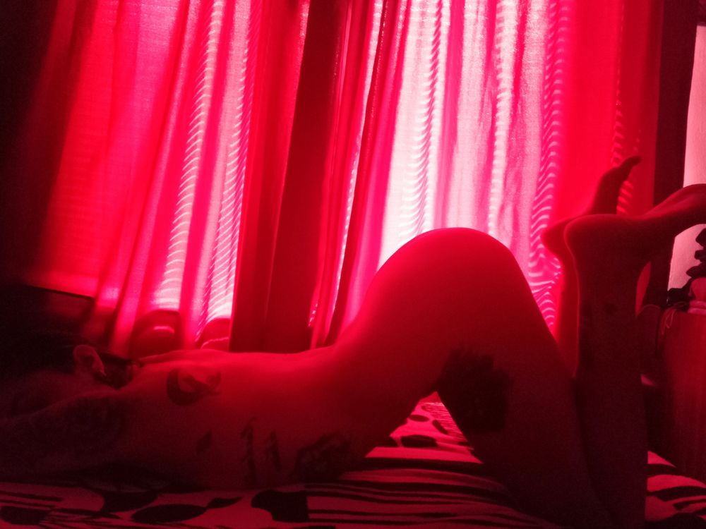 dani.pulido OnlyFans profile picture