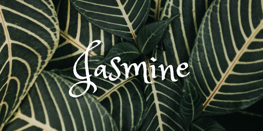 spiceyjasmine OnlyFans profile picture