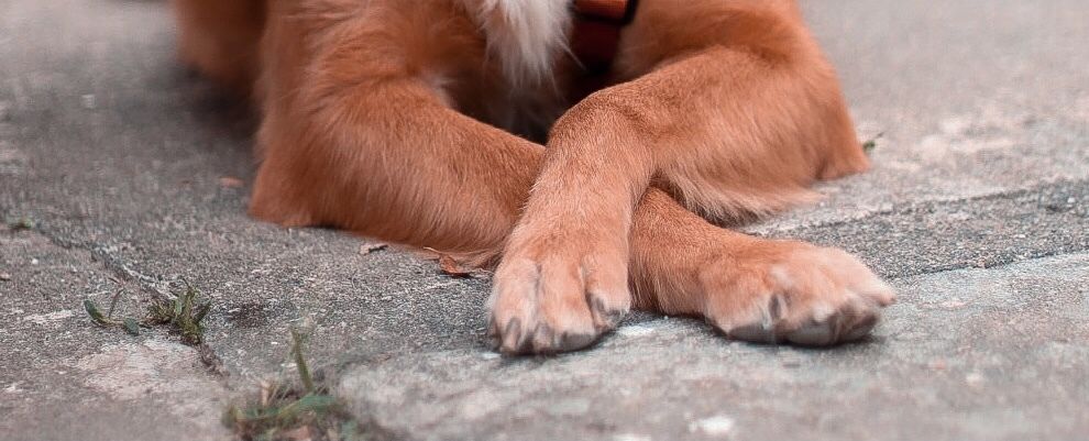 th.feet OnlyFans profile picture
