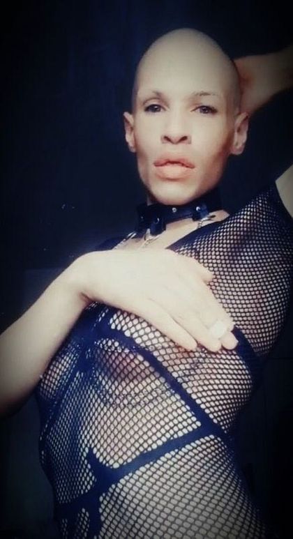 redivivusphoenix OnlyFans picture