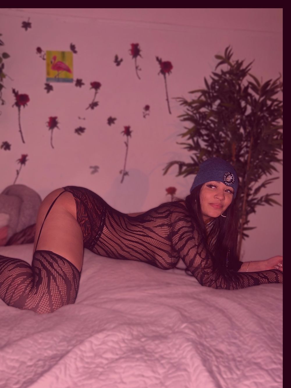 rosiecheekx OnlyFans profile picture