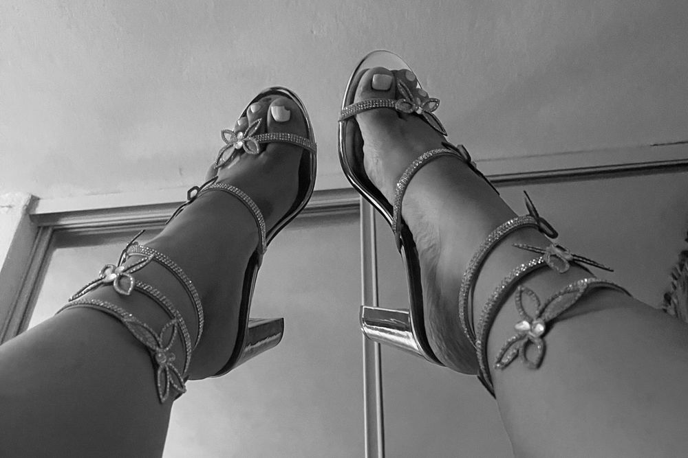 misslilpxc OnlyFans profile picture
