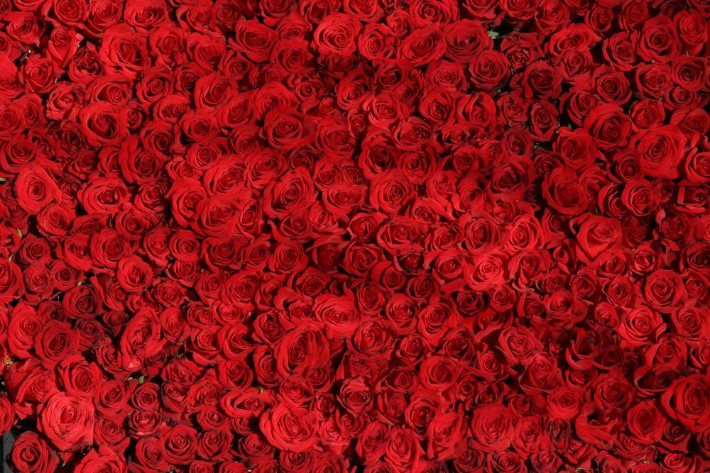 winnierose OnlyFans profile picture