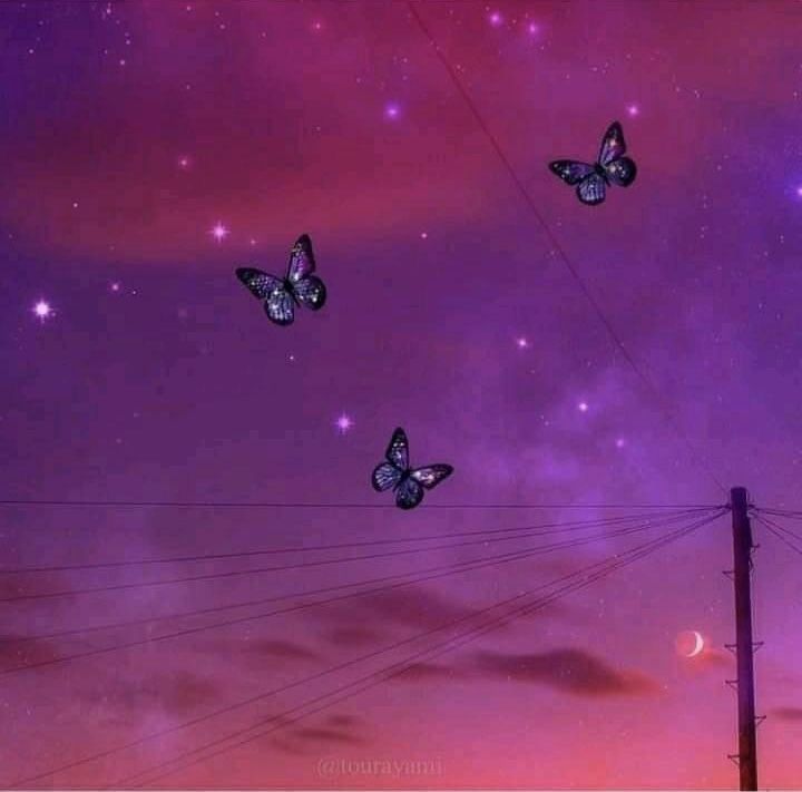 hentaifairy420 OnlyFans profile picture