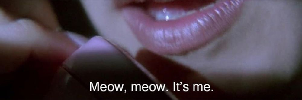 tinypaki OnlyFans profile picture
