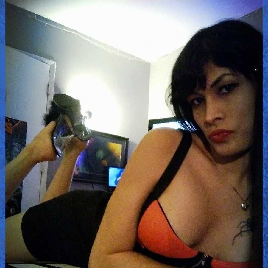 tsamberalert OnlyFans profile picture