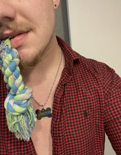 bubble_butt_16 OnlyFans picture