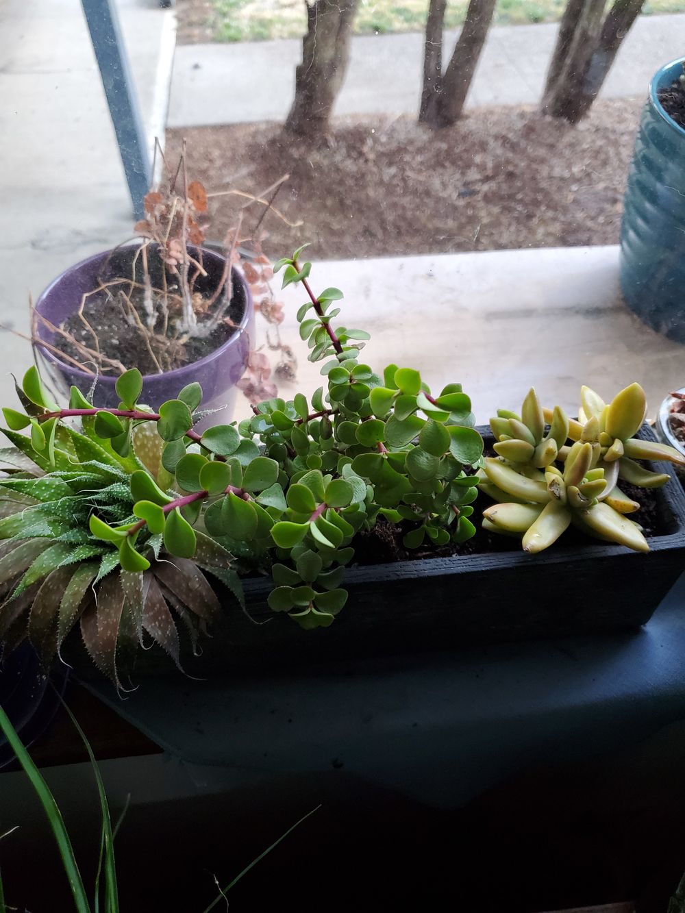 onlyplants88 OnlyFans profile picture