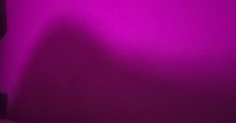 lightplayer OnlyFans profile picture