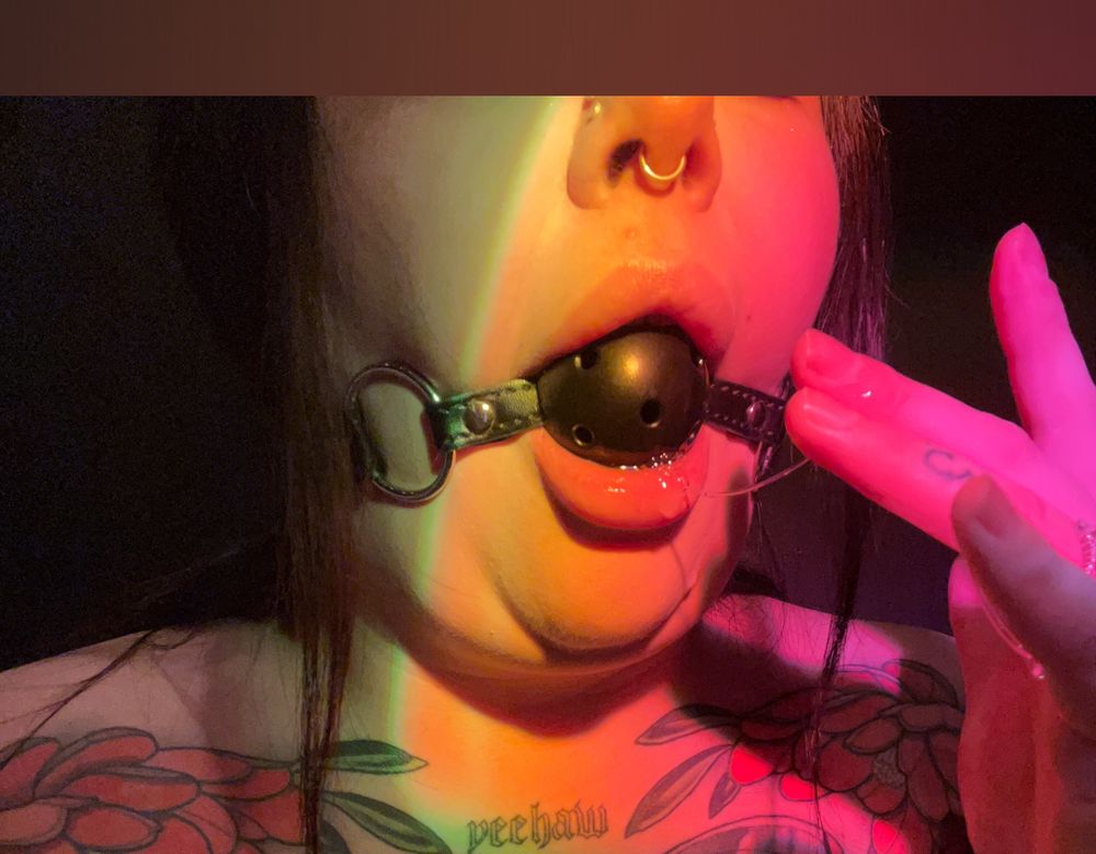 riskibusiness OnlyFans profile picture