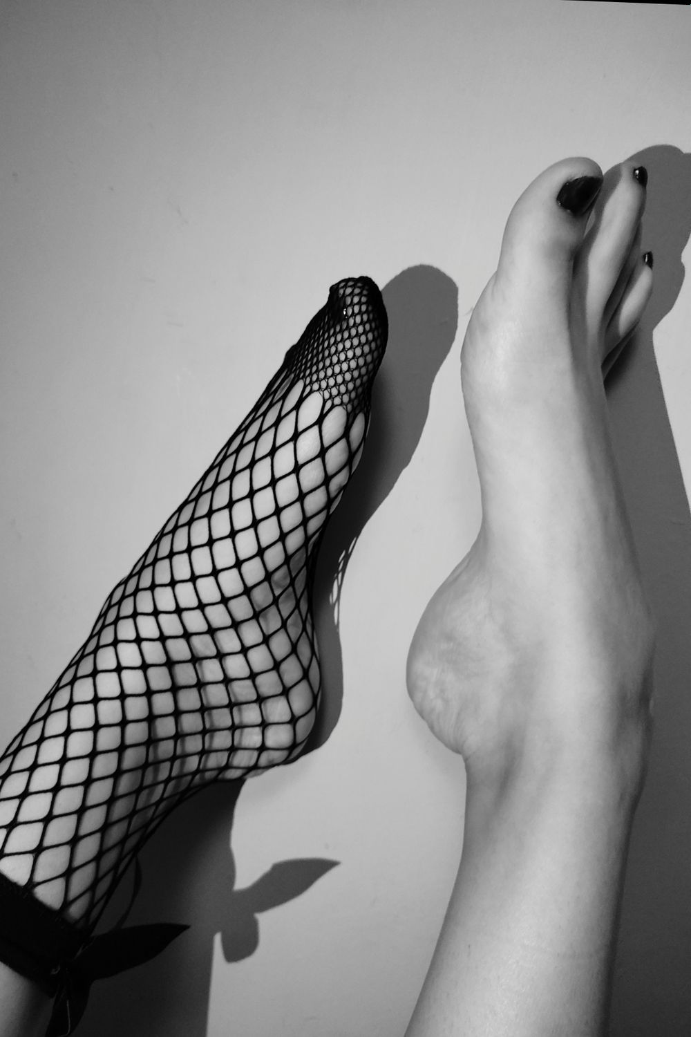 dafne169 OnlyFans profile picture