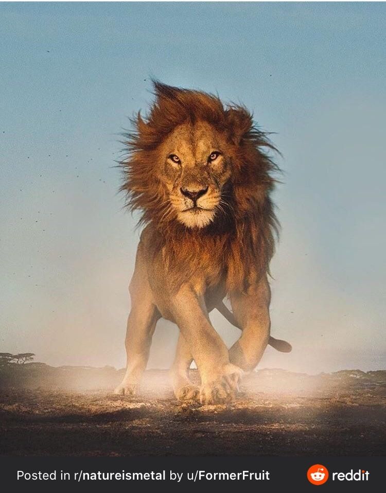 hillzaah OnlyFans profile picture