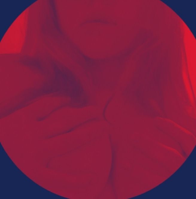 scrlt244 OnlyFans profile picture