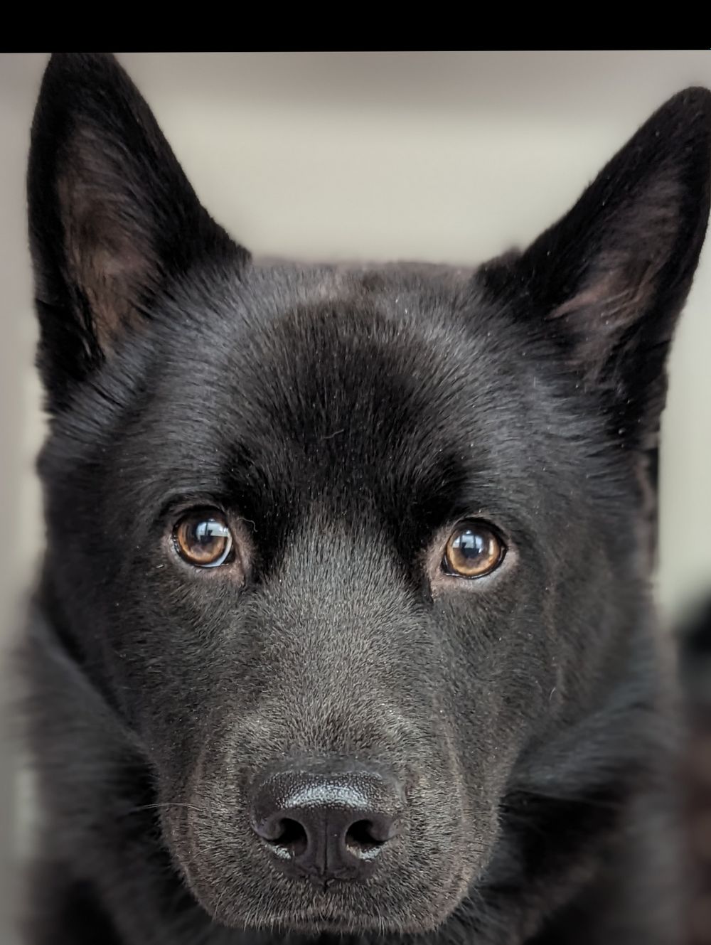 rexyahoe OnlyFans profile picture