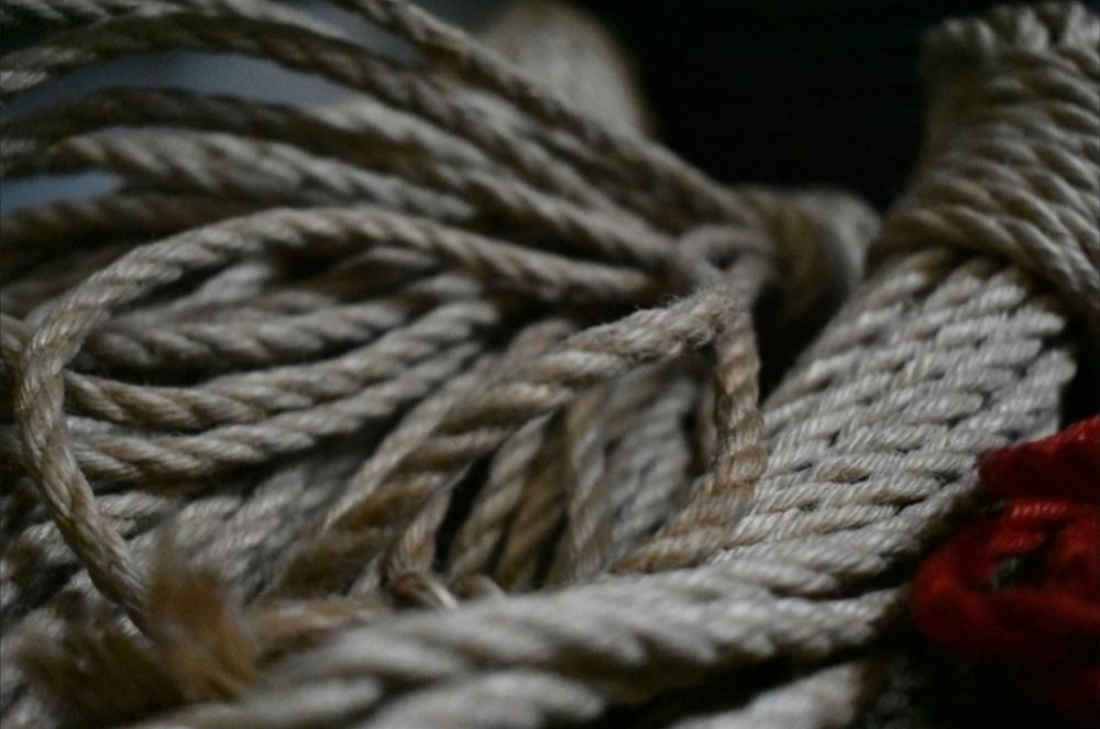 ropespaced OnlyFans profile picture