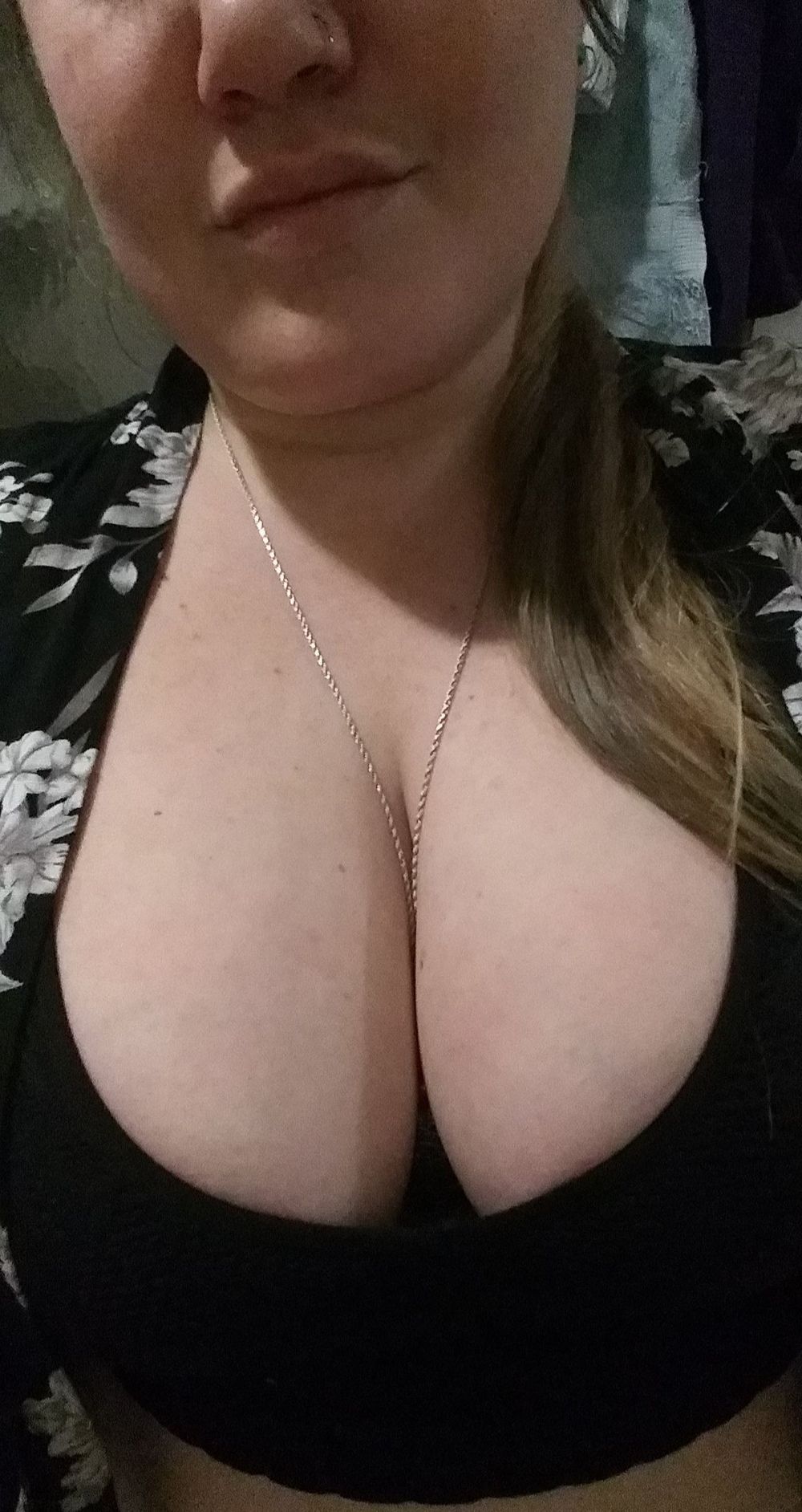 dani_no_pants OnlyFans profile picture