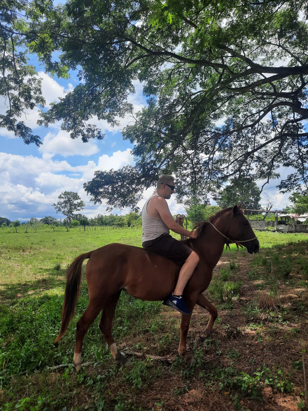 diegollanerito OnlyFans profile picture