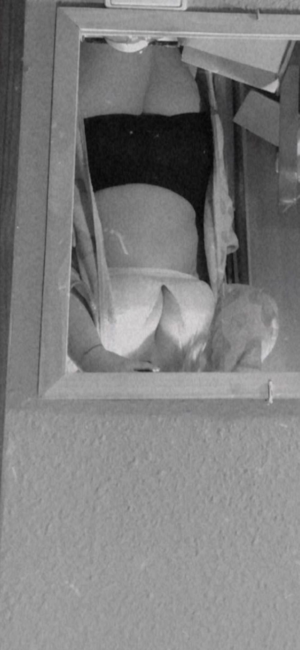 blooondi OnlyFans profile picture