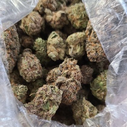 puffercannabisclub OnlyFans picture